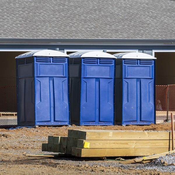 are there any restrictions on what items can be disposed of in the portable restrooms in Birchleaf